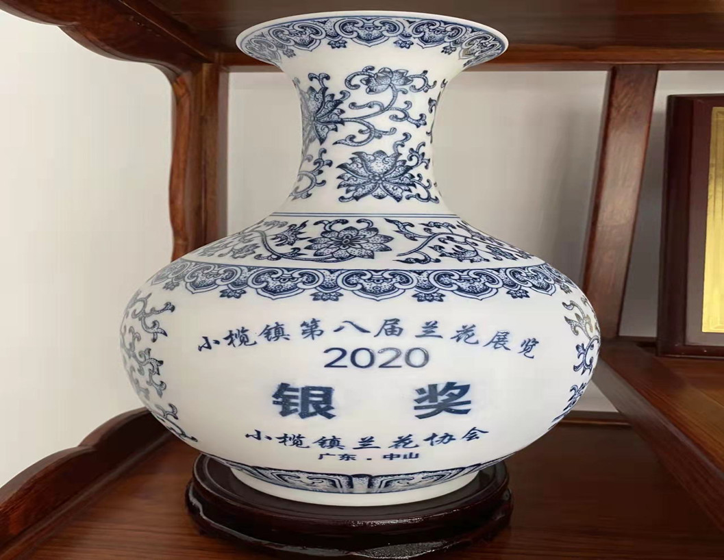 2020年小欖鎮(zhèn)第八屆蘭花展覽獲銀獎
